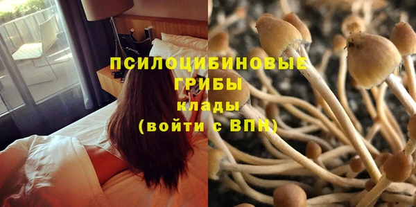ECSTASY Пролетарск