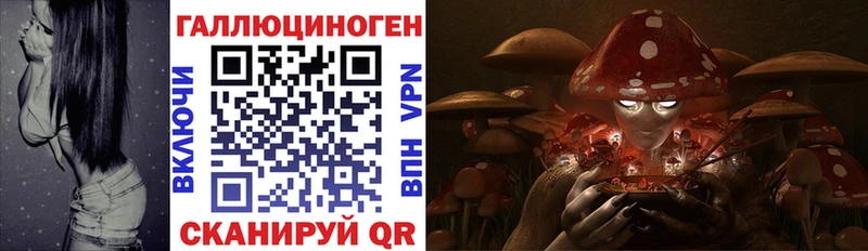 где купить наркоту  Вичуга  блэк спрут онион  Псилоцибиновые грибы GOLDEN TEACHER 